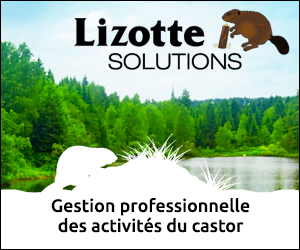 Lizotte Solutions – Gestion professionnelle des activités du castor