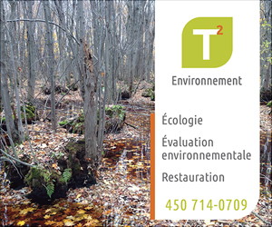 T2 Environnement : Écologie, évaluation environnementale, restauration