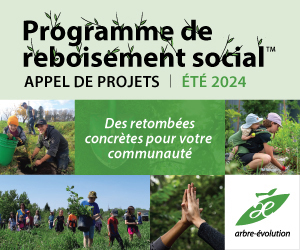 Financer la plantation d'arbres et arbustes dans votre communauté