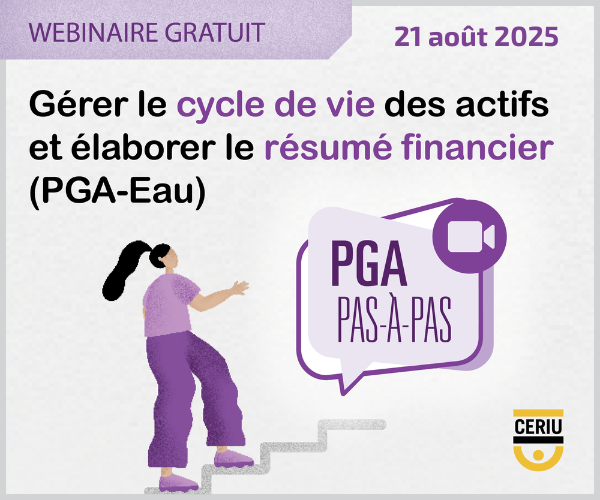 Webinaire gratuit : Gérer le cycle de vie des actifs (PGA-Eau)