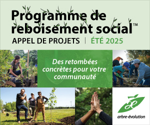 Financer la plantation d'arbres et arbustes dans votre communauté