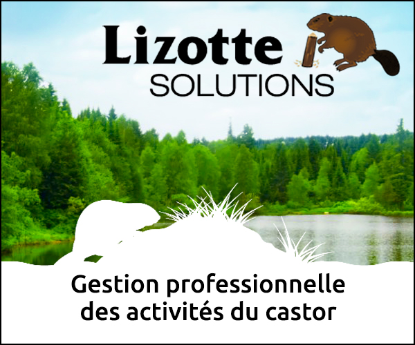 Lizotte Solutions – Gestion professionnelle des activités du castor