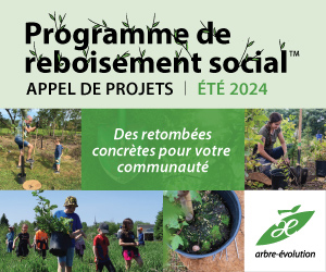 Financer la plantation d'arbres et arbustes dans votre communauté