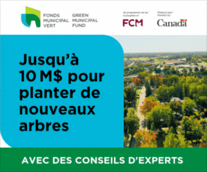 Jusqu'à 10 M$ pour planter de nouveaux arbres | Fonds municipal vert