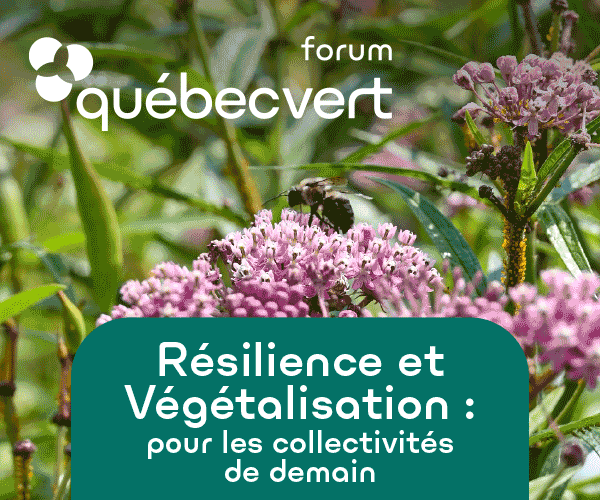 Devenez acteur de résilience pour vos communautés dès maintenant !