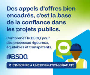 Comprendre le rôle et le fonctionnement du BSDQ | Formation gratuite